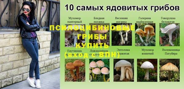 эйфоретик Гусев