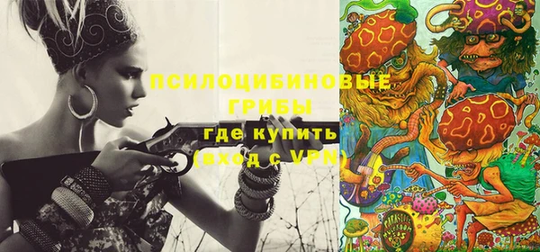эйфоретик Гусев