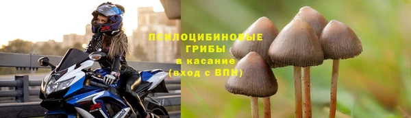 марки nbome Гусиноозёрск
