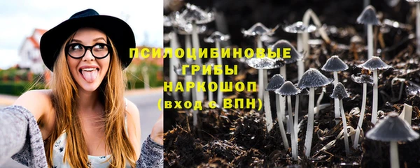 стаф Гусь-Хрустальный