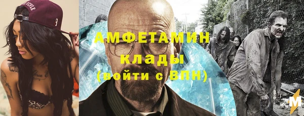 стаф Гусь-Хрустальный