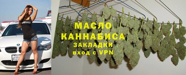 стаф Гусь-Хрустальный
