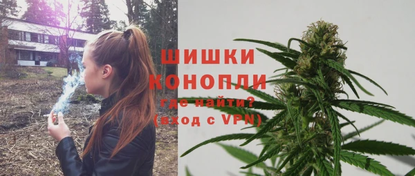 стаф Гусь-Хрустальный