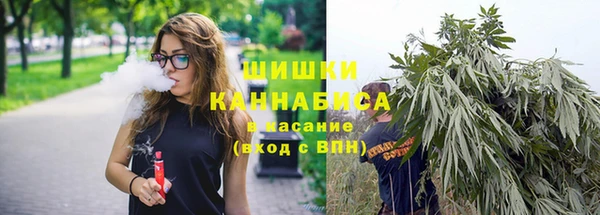 эйфоретик Гусев
