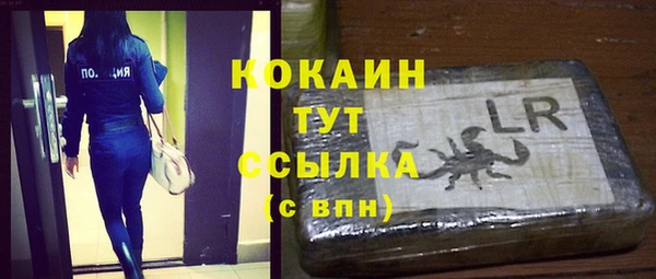 эйфоретик Гусев